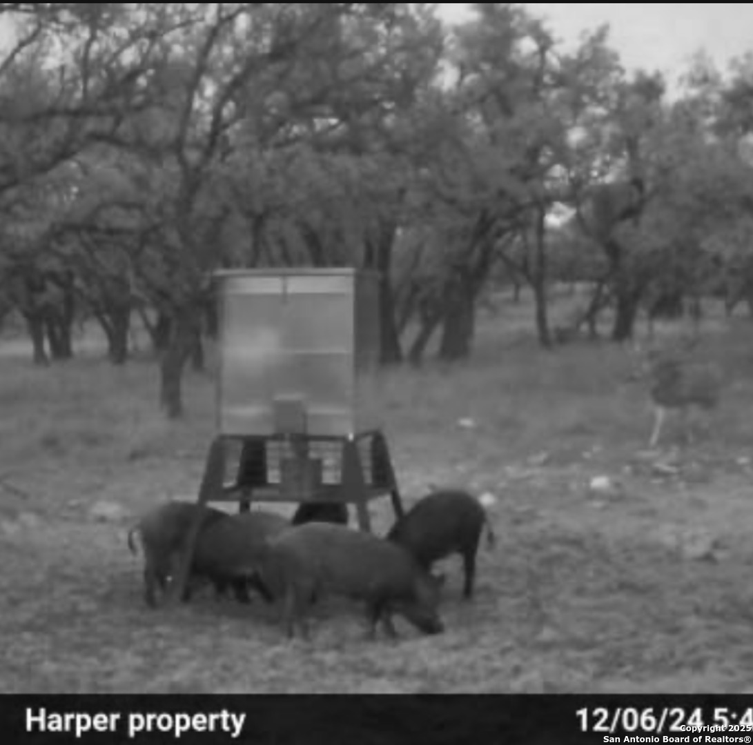 0 Stevens Ranch Road Harper TX 78631
