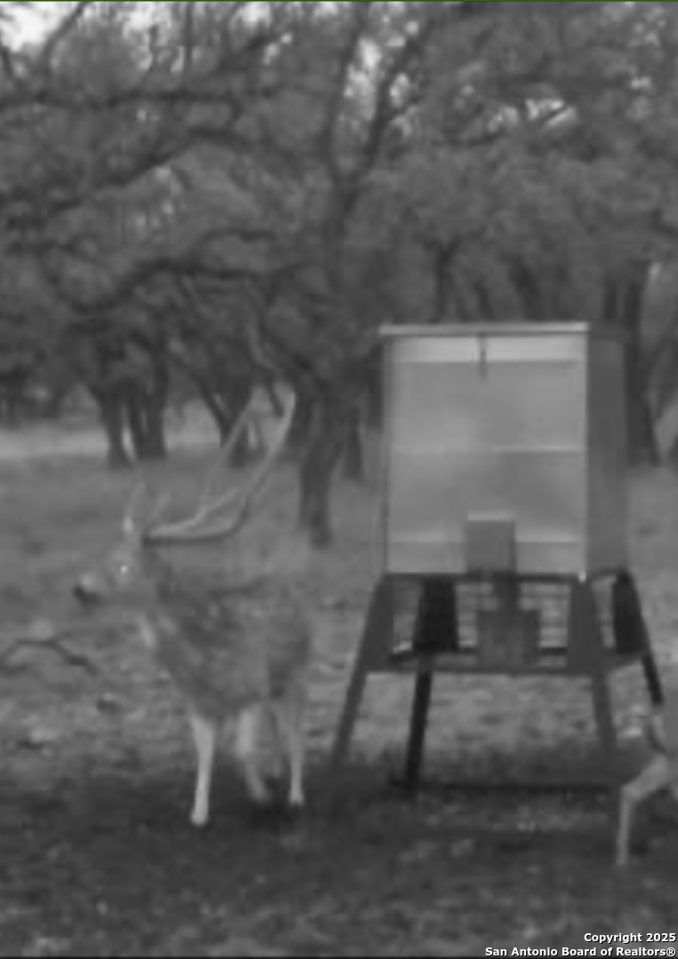 0 Stevens Ranch Road Harper TX 78631