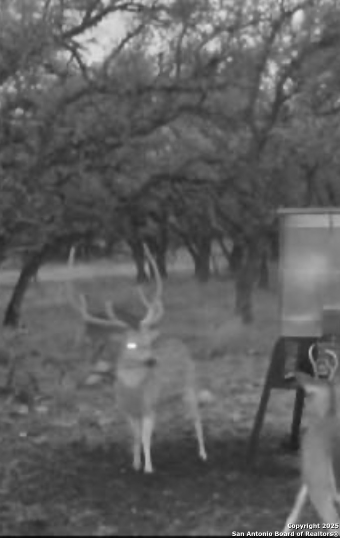 0 Stevens Ranch Road Harper TX 78631