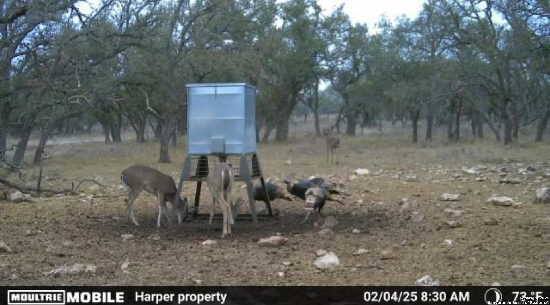 0 Stevens Ranch Road Harper TX 78631