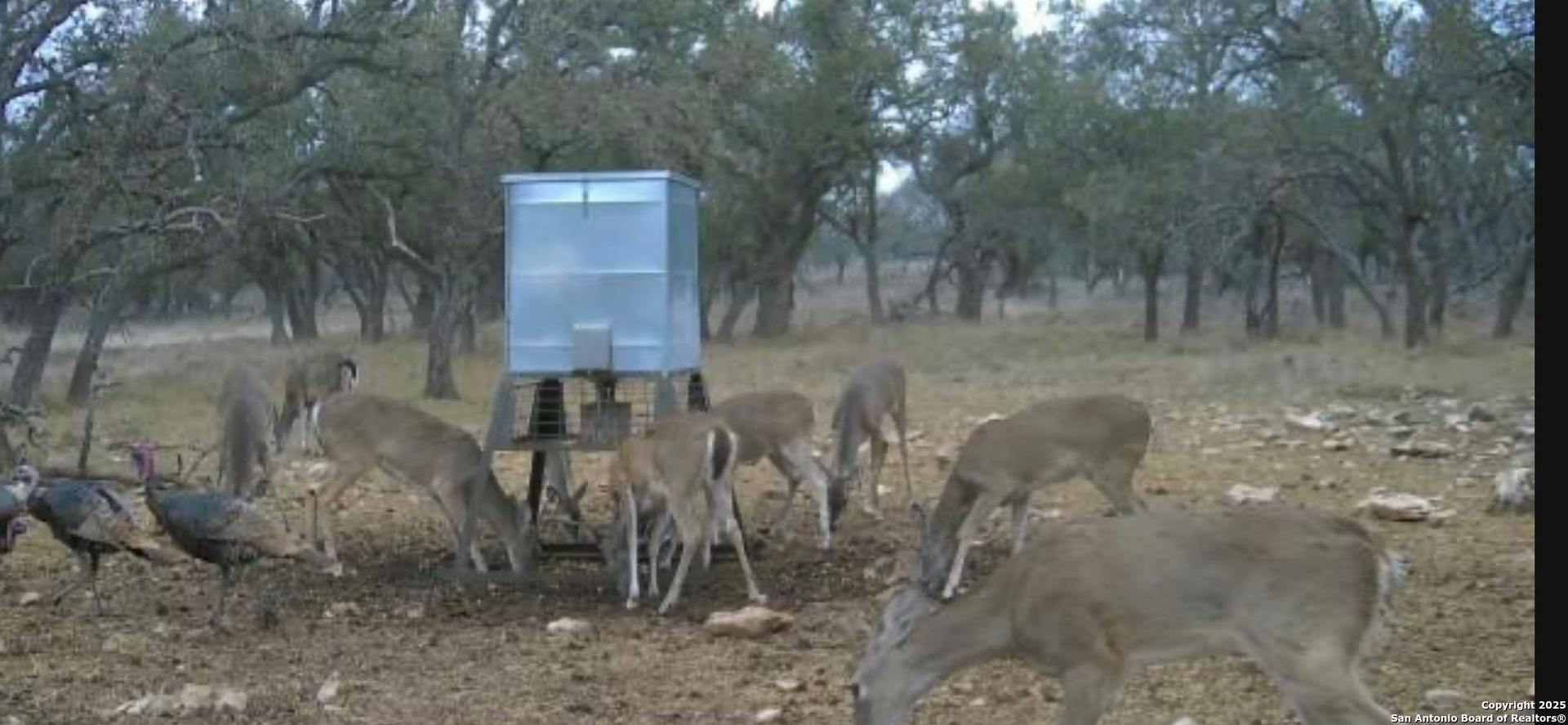 0 Stevens Ranch Road Harper TX 78631