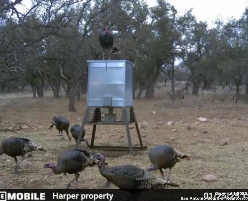 0 Stevens Ranch Road Harper TX 78631