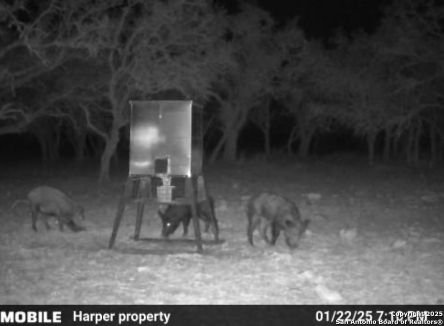 0 Stevens Ranch Road Harper TX 78631