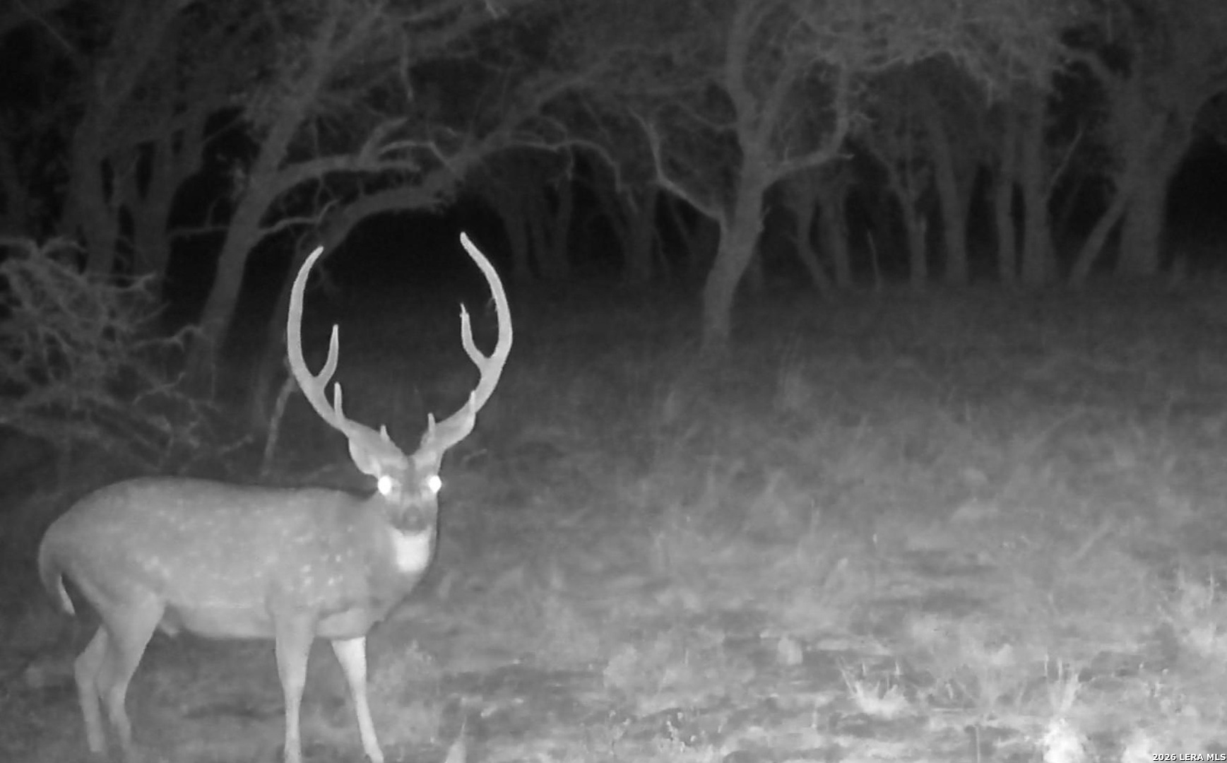 0 Stevens Ranch Road Harper TX 78631
