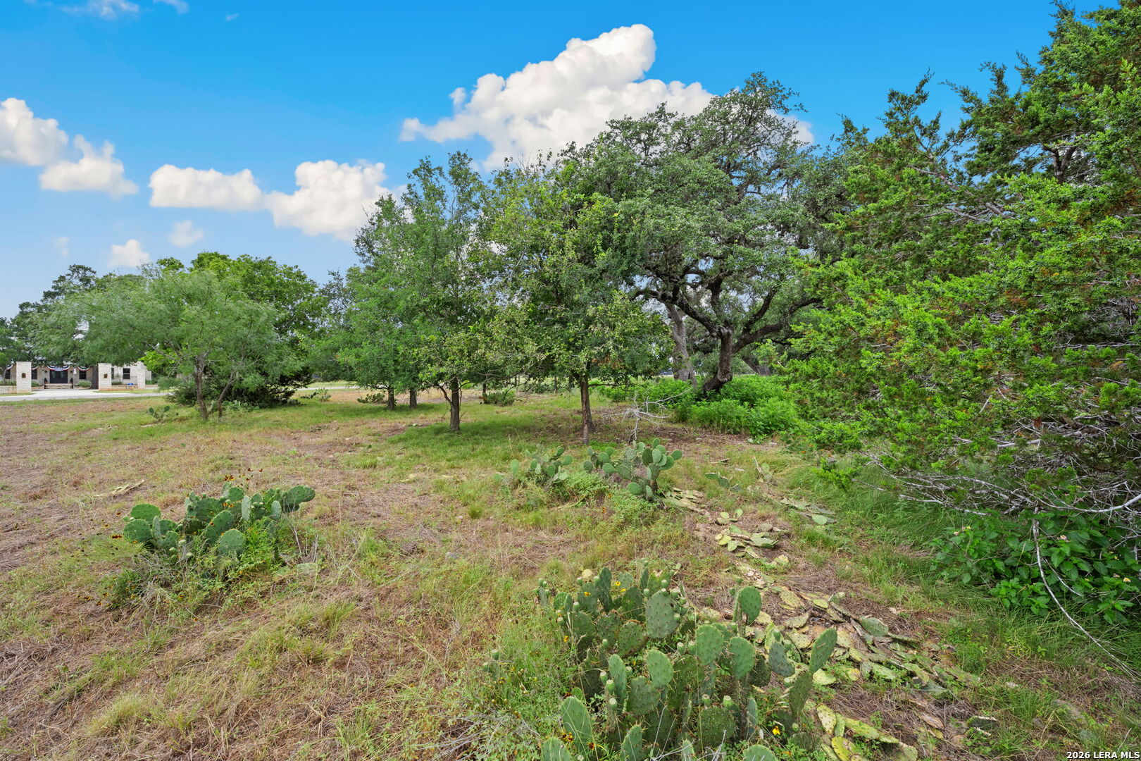 128 Rio Grande Drive Blanco TX 78606