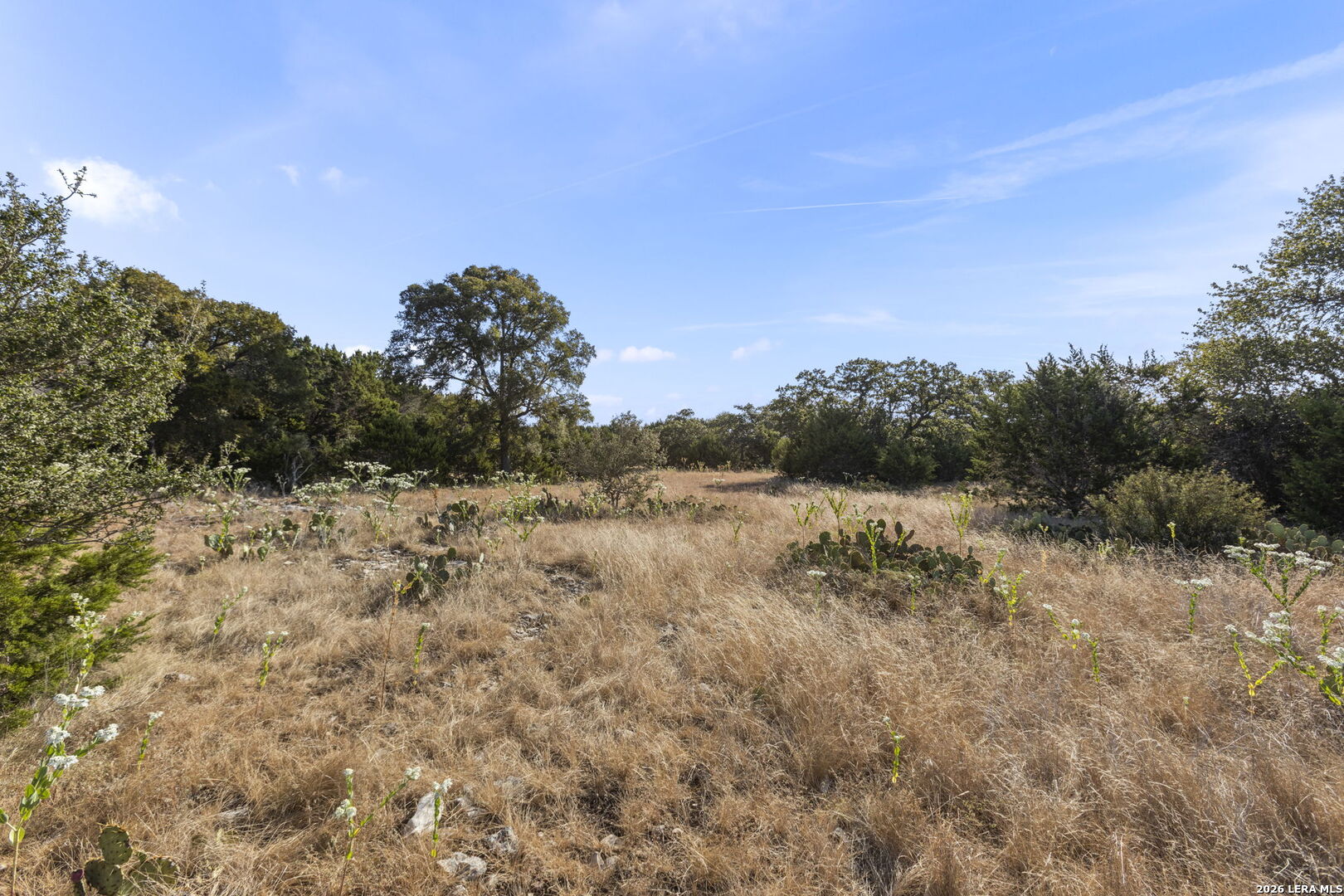106 Cornerstone Boerne TX 78006