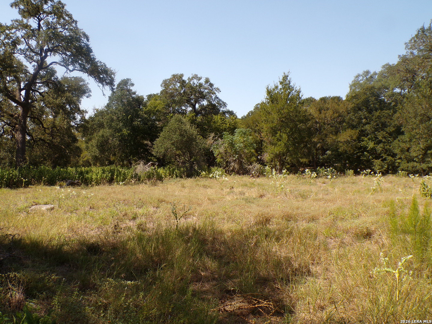 31369 Smithson Valley Bulverde TX 78163