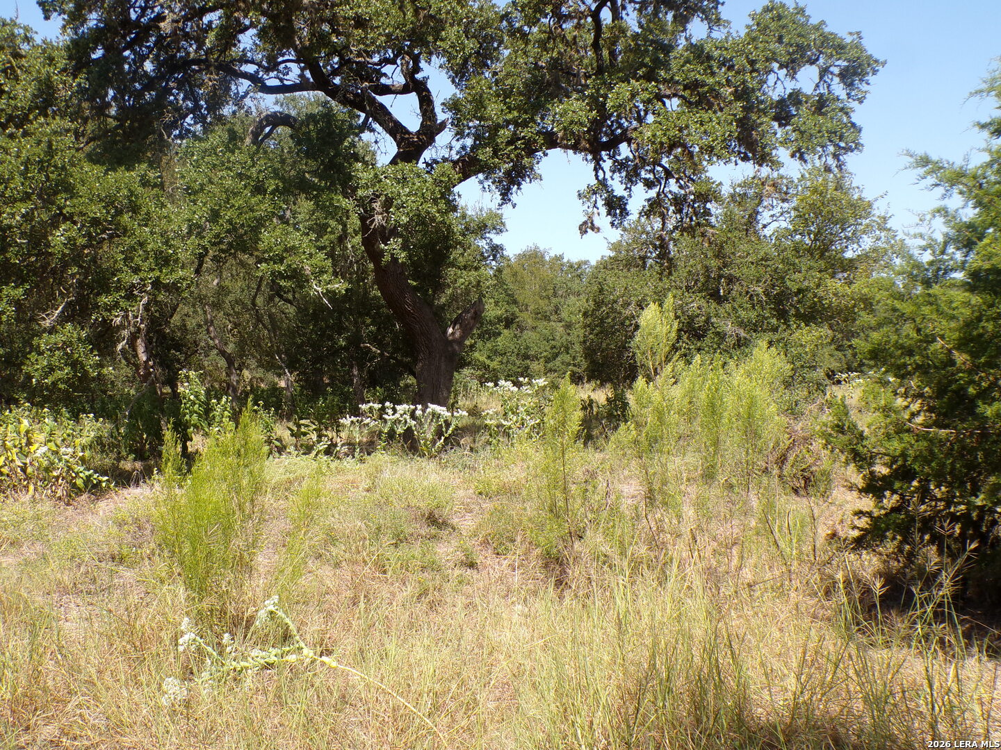 31369 Smithson Valley Bulverde TX 78163