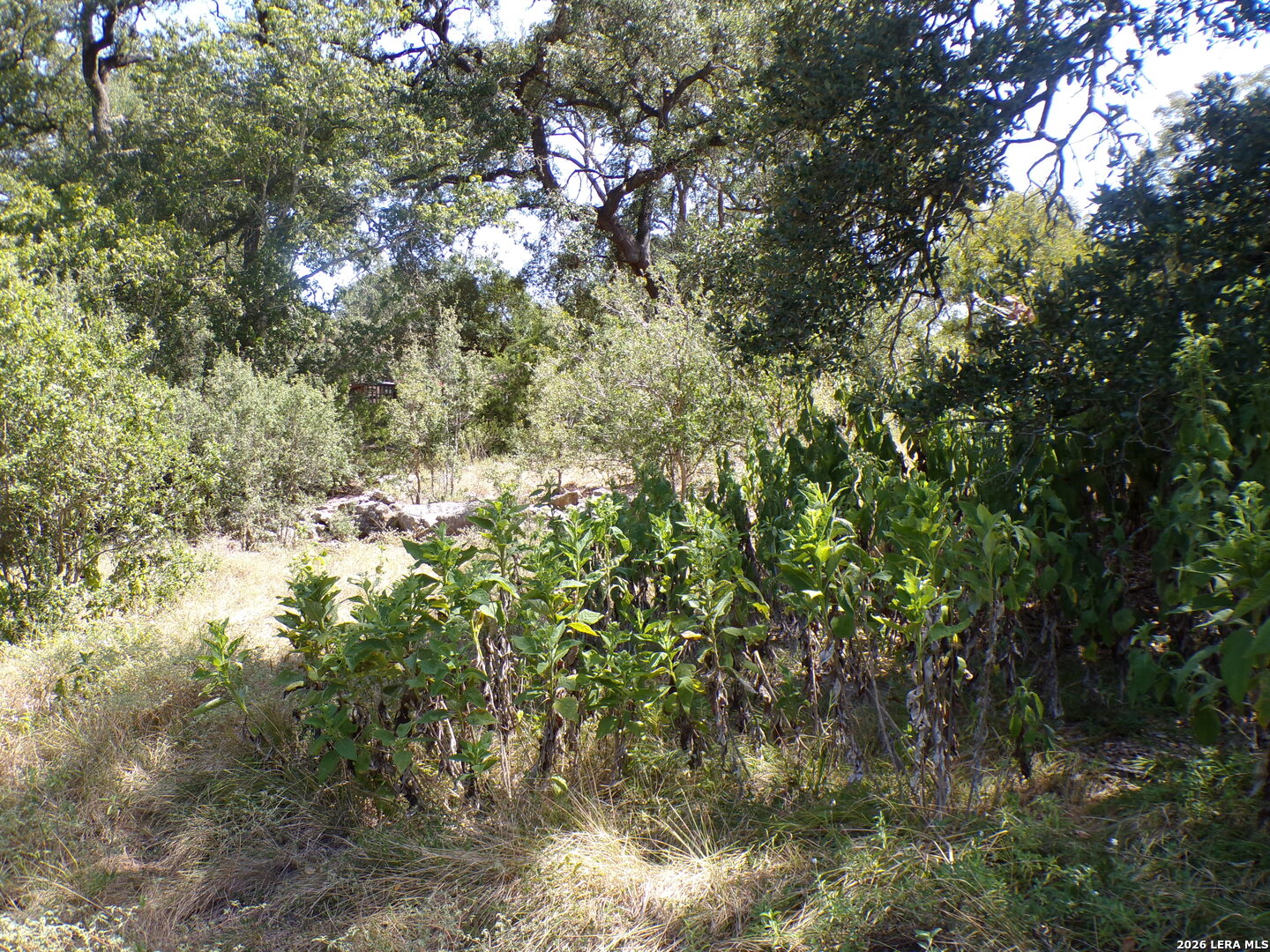 31369 Smithson Valley Bulverde TX 78163