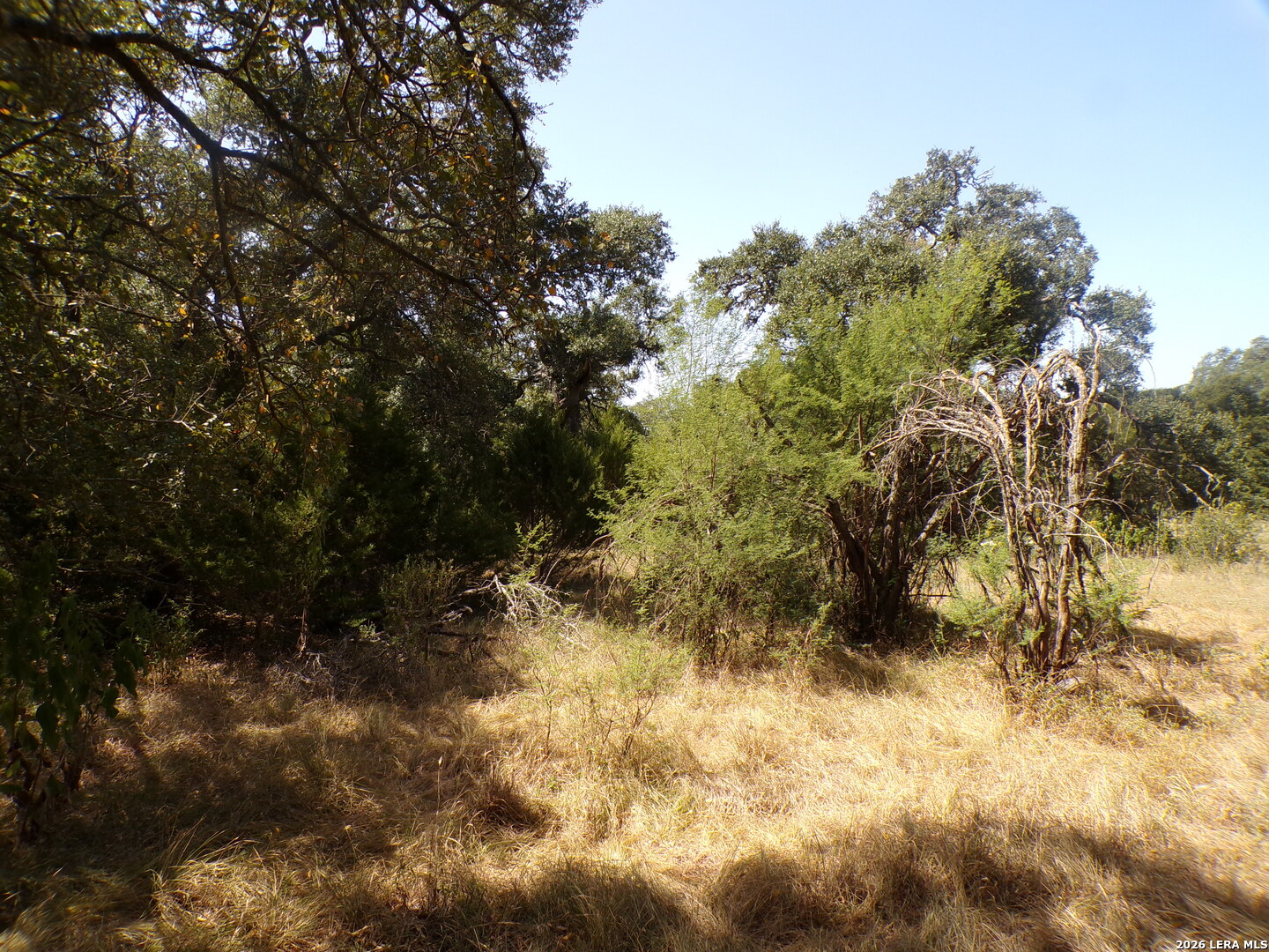 31369 Smithson Valley Bulverde TX 78163