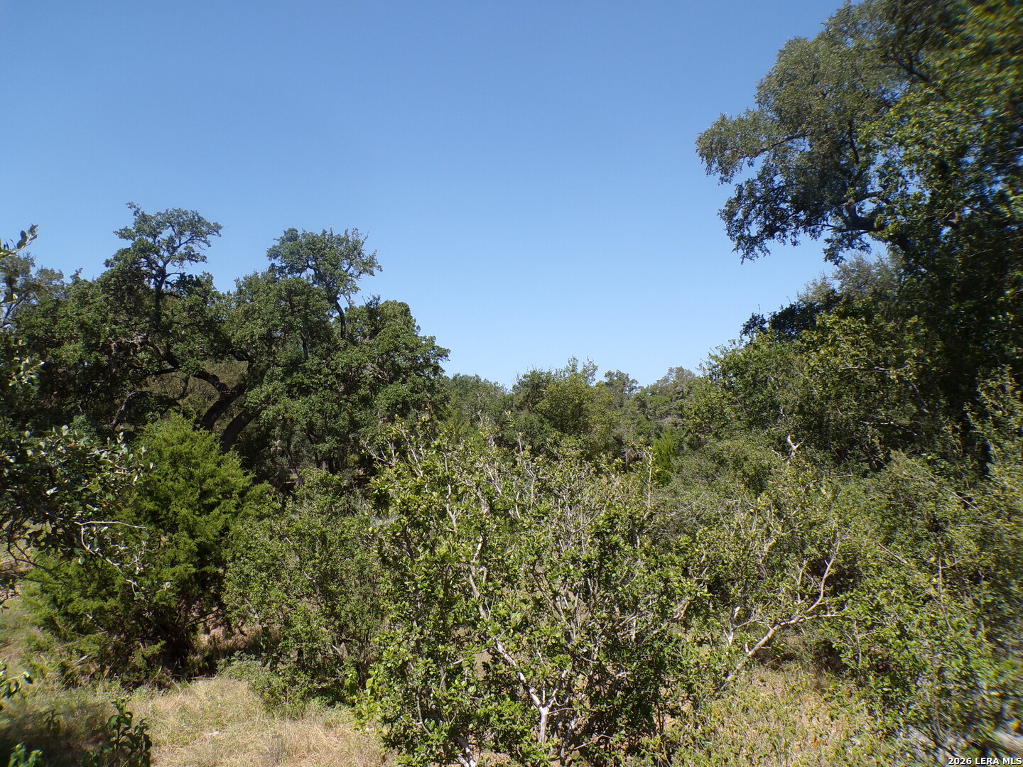 31369 Smithson Valley Bulverde TX 78163