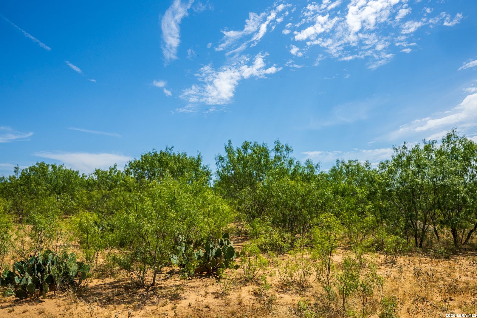 FM2200 2200 Yancey TX 78886