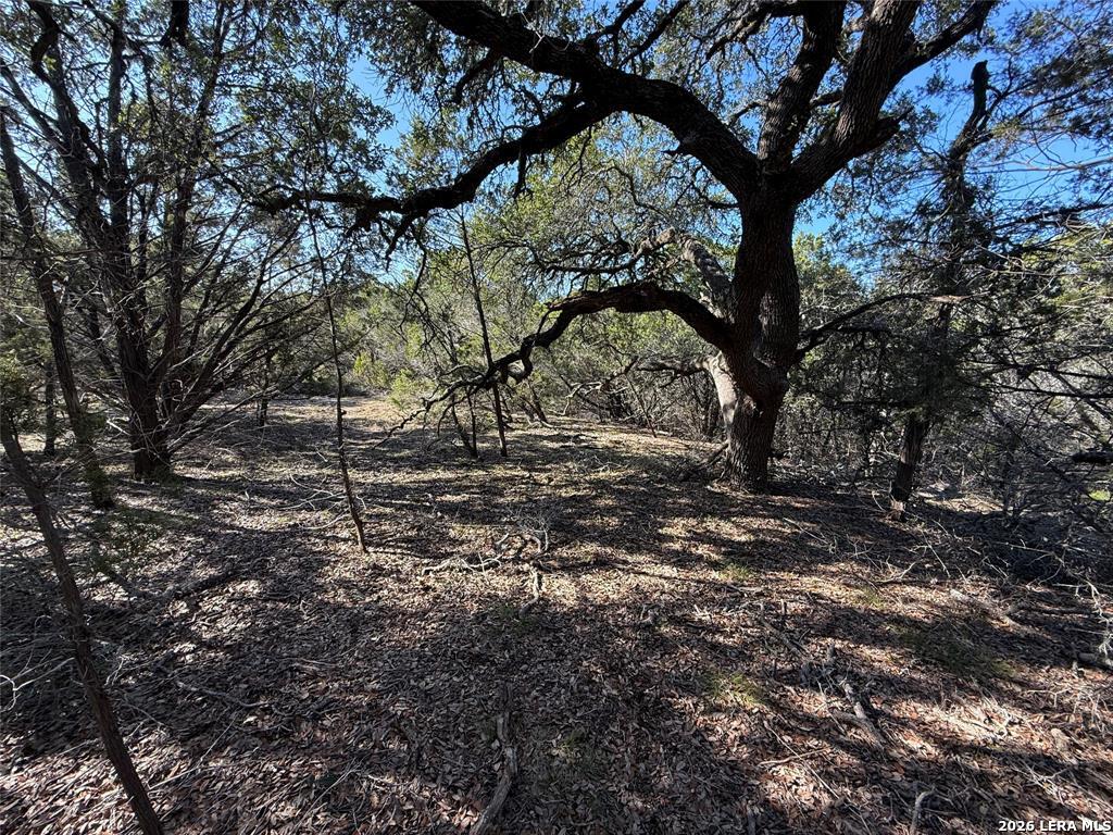 105 S Park Road Wimberley TX 78676