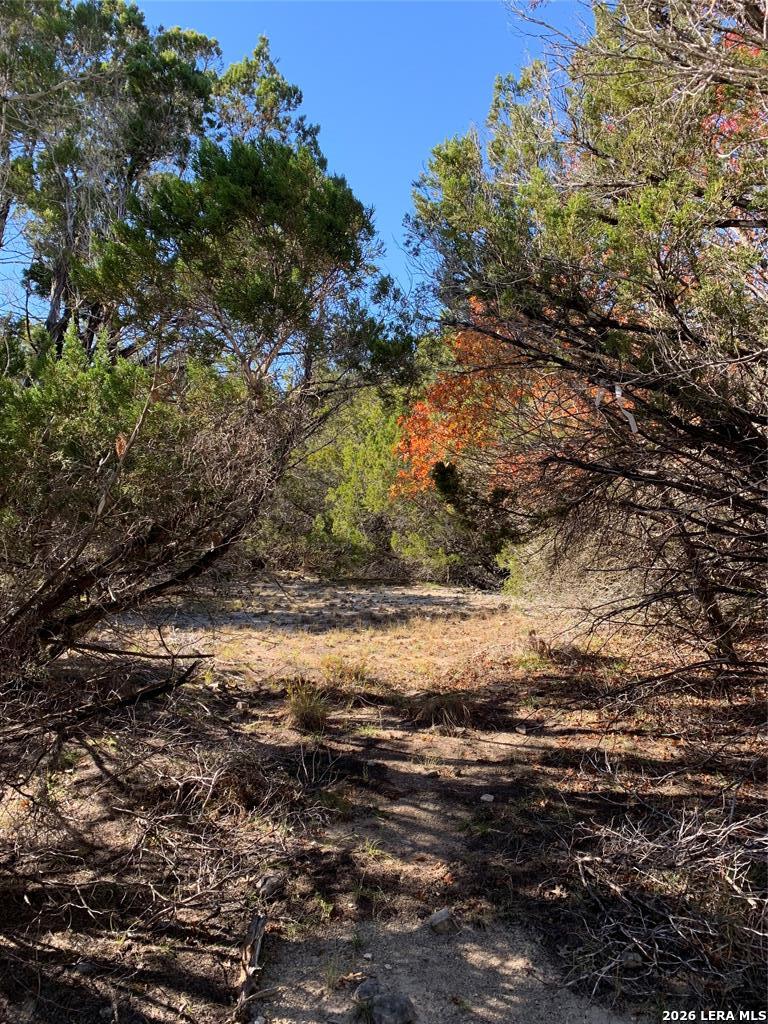 105 S Park Road Wimberley TX 78676