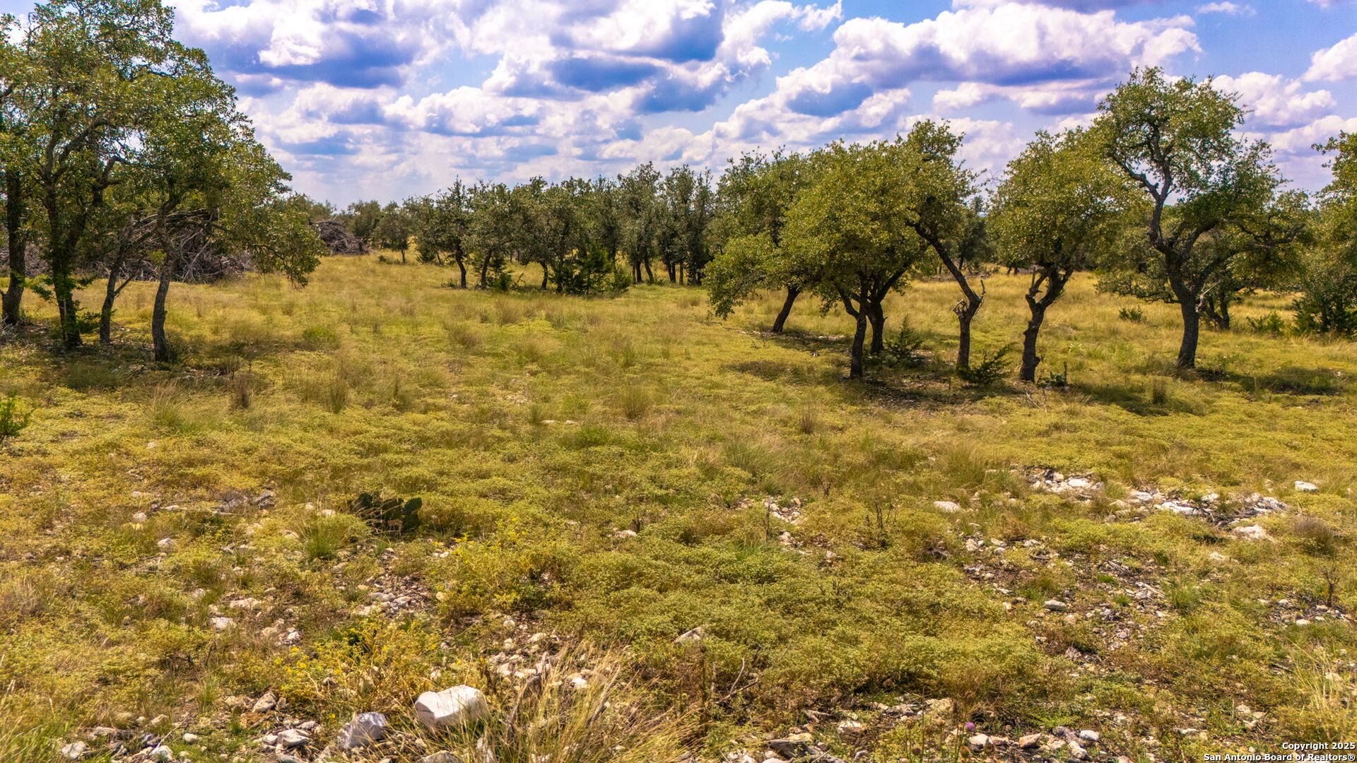 Tbd Brooklyn Drive Off Ranch Road, 479 Harper TX 78058