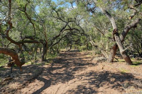Tract 4 Pierson Road Blanco TX 78606