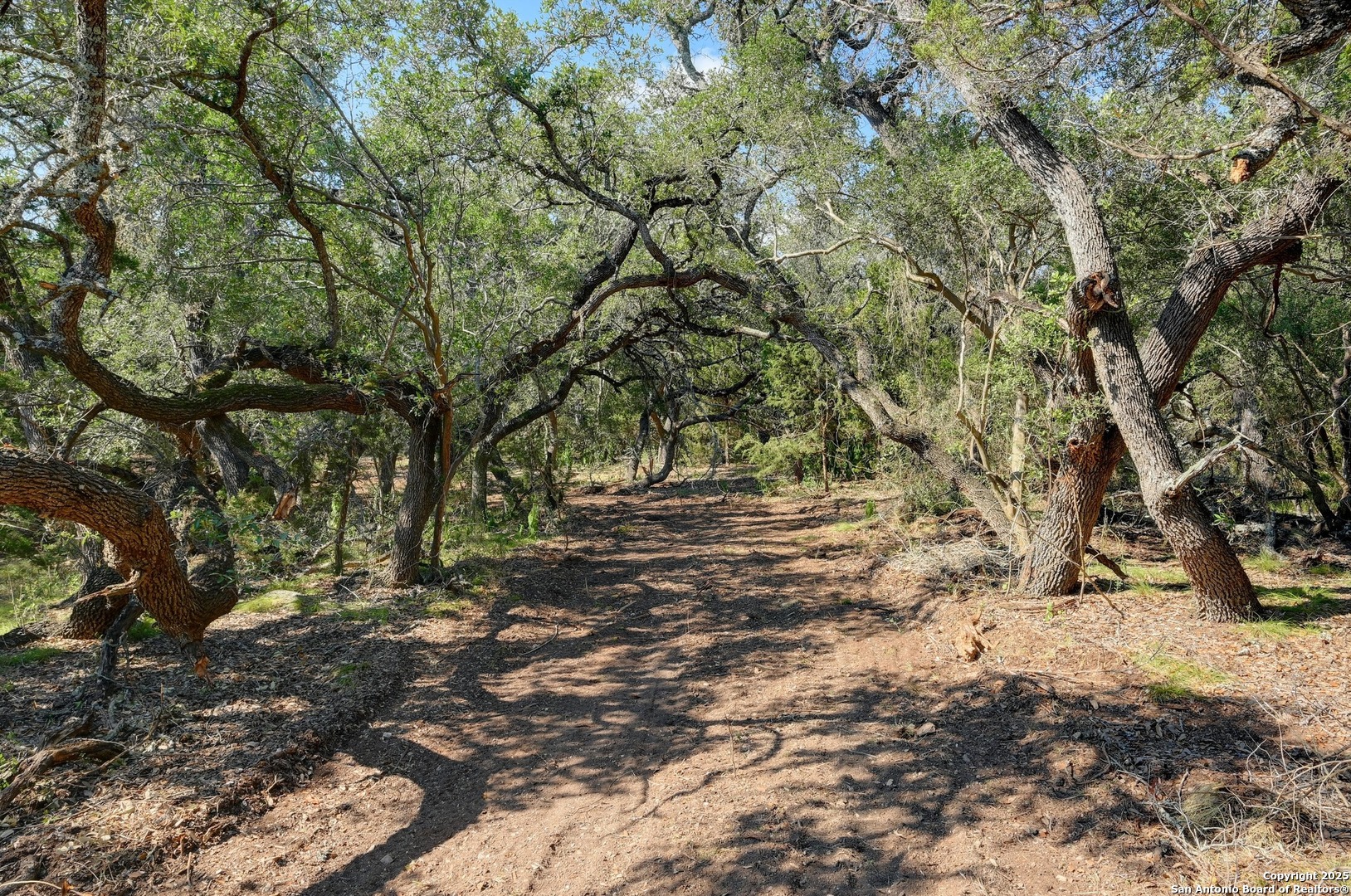 Tract 4 Pierson Road Blanco TX 78606
