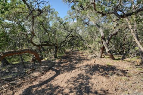 Tract 4 Pierson Road Blanco TX 78606