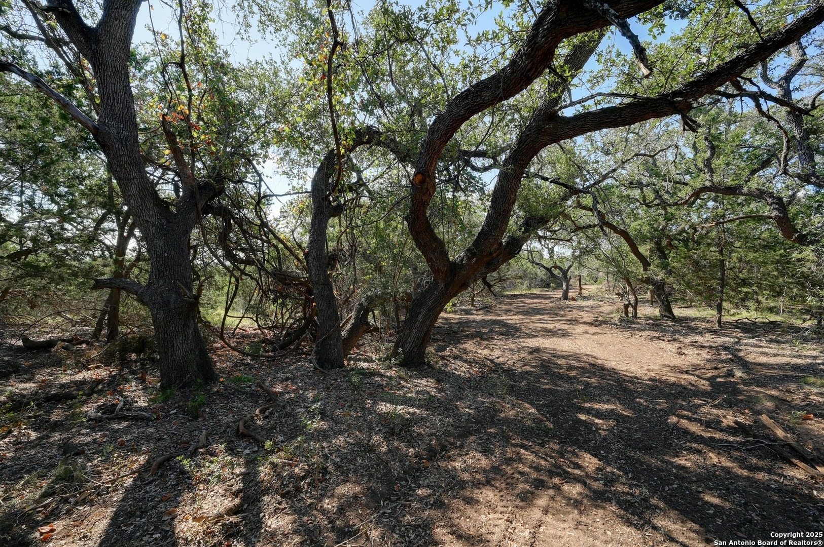 Tract 4 Pierson Road Blanco TX 78606