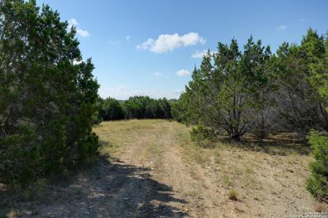 Tract 4 Pierson Road Blanco TX 78606