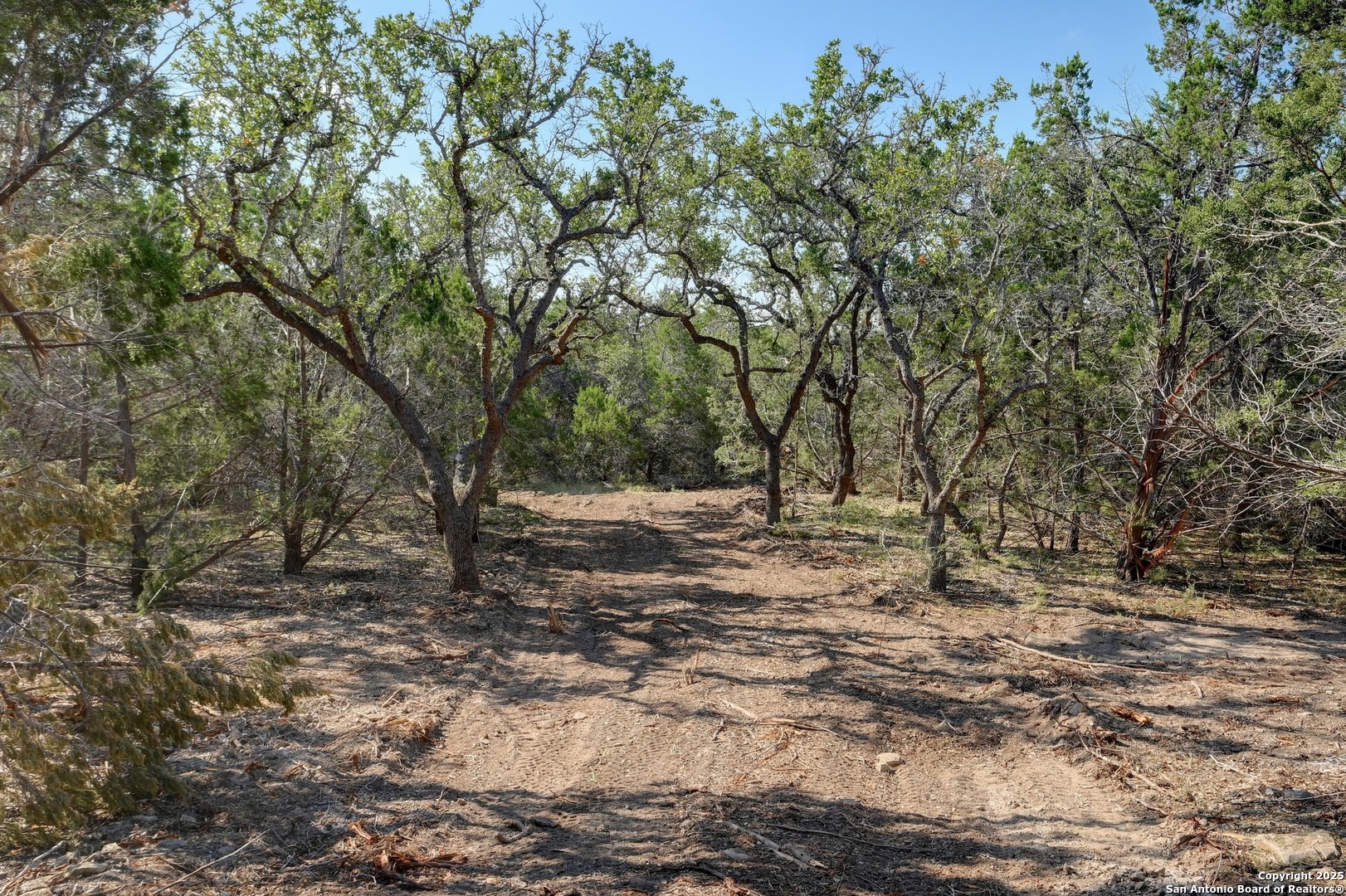 Tract 4 Pierson Road Blanco TX 78606