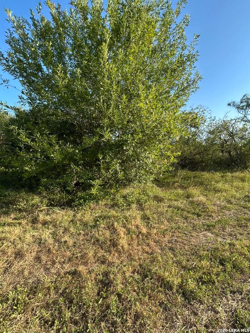 330 Proctor Boulevard San Antonio TX 78221
