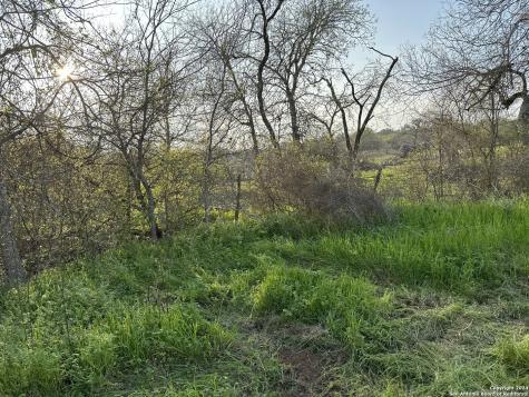 126 S Tejeda Lane Floresville TX 78114