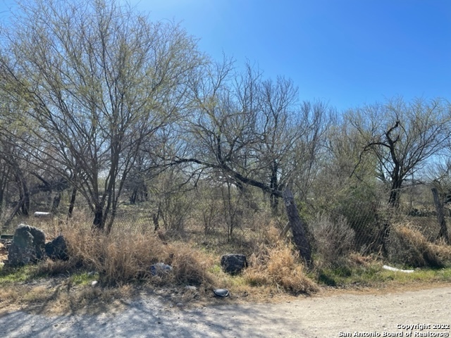 13844 Old Corpus Christi Road Elmendorf TX 78112