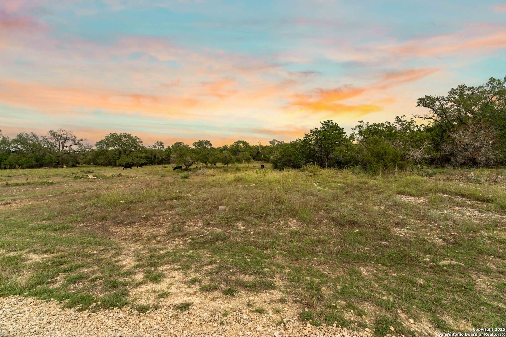 Lot 35b Pr 2533 Mico TX 78056
