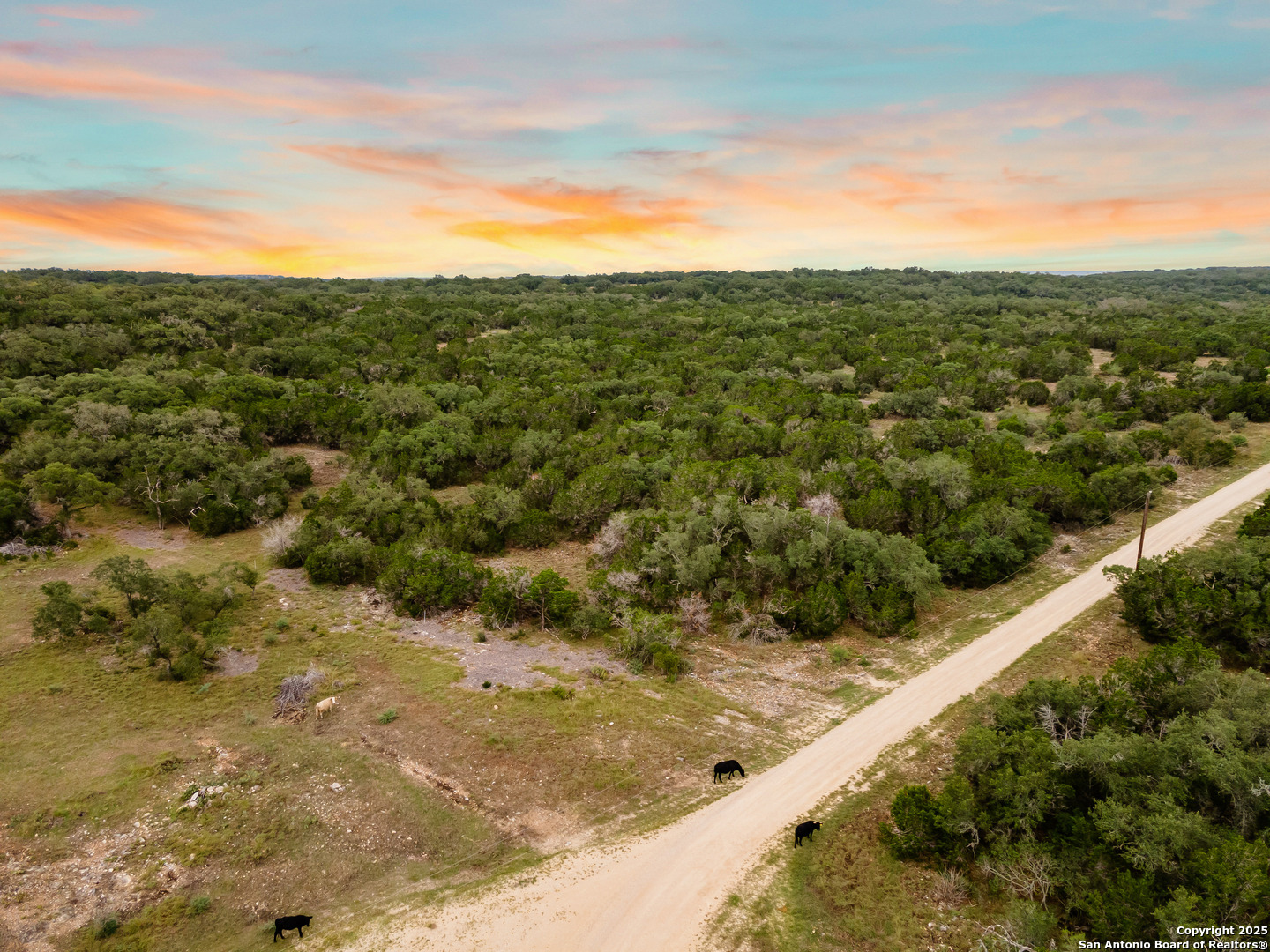 Lot 35b Pr 2533 Mico TX 78056