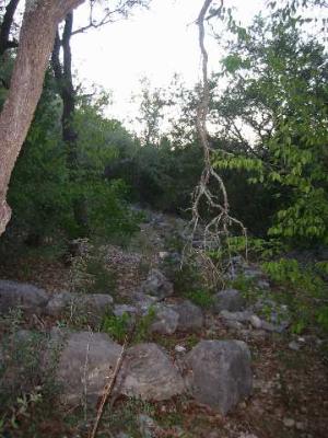 17550 County Road 175 Helotes TX 78023