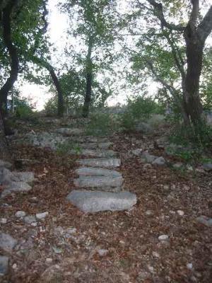 17550 County Road 175 Helotes TX 78023