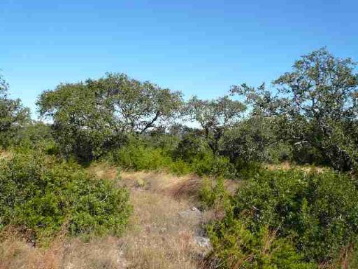 17550 County Road 175 Helotes TX 78023