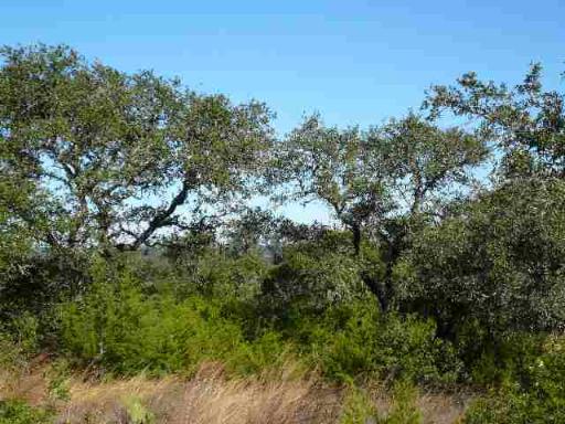 17550 County Road 175 Helotes TX 78023