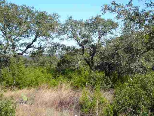 17550 County Road 175 Helotes TX 78023