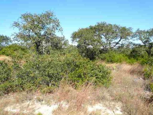 17550 County Road 175 Helotes TX 78023