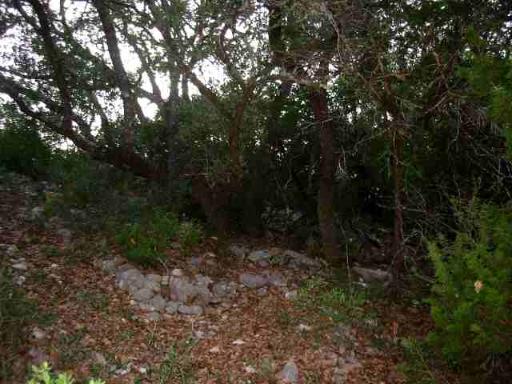 17550 County Road 175 Helotes TX 78023