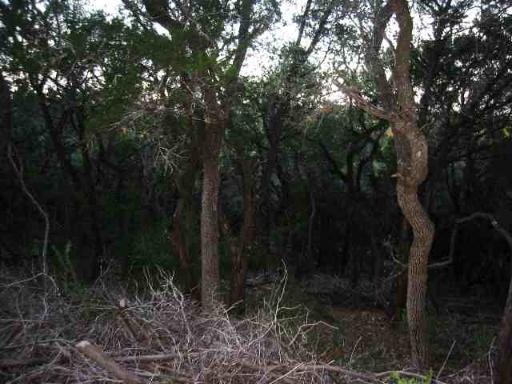 17550 County Road 175 Helotes TX 78023