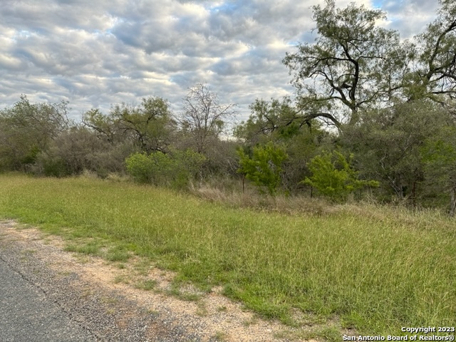 000 Christine Road Jourdanton TX 78026
