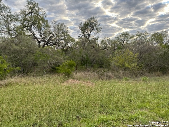 000 Christine Road Jourdanton TX 78026