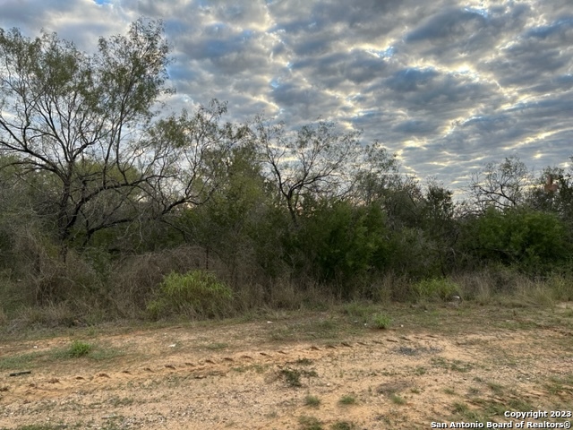000 Christine Road Jourdanton TX 78026