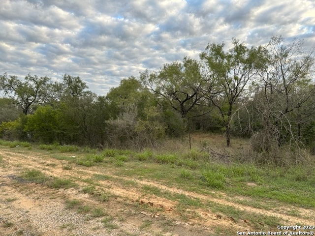 000 Christine Road Jourdanton TX 78026