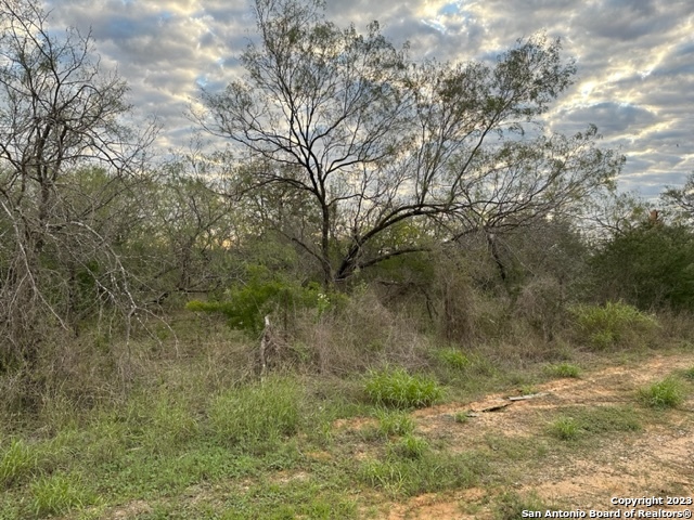000 Christine Road Jourdanton TX 78026