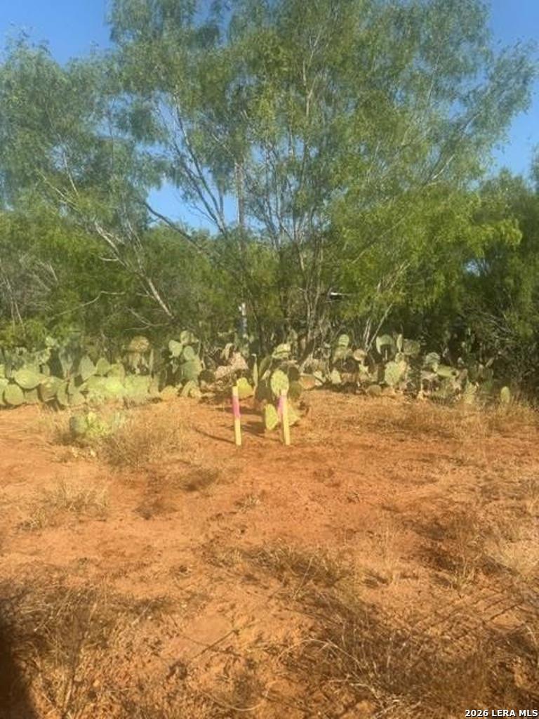 A00930 Cr 331 Jourdanton TX 78026