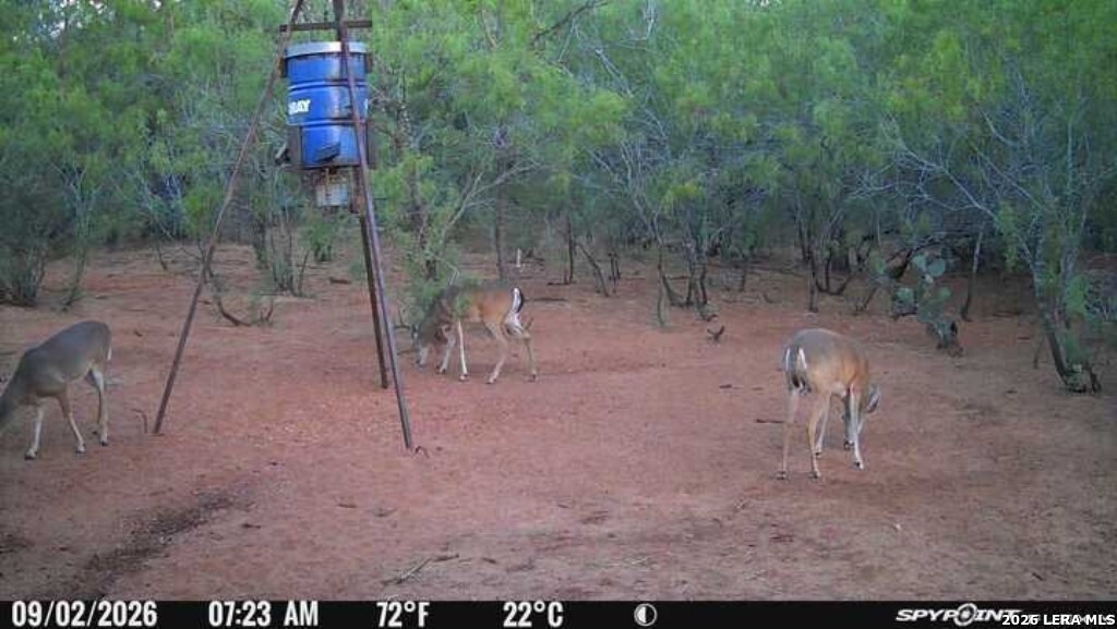 A00930 Cr 331 Jourdanton TX 78026