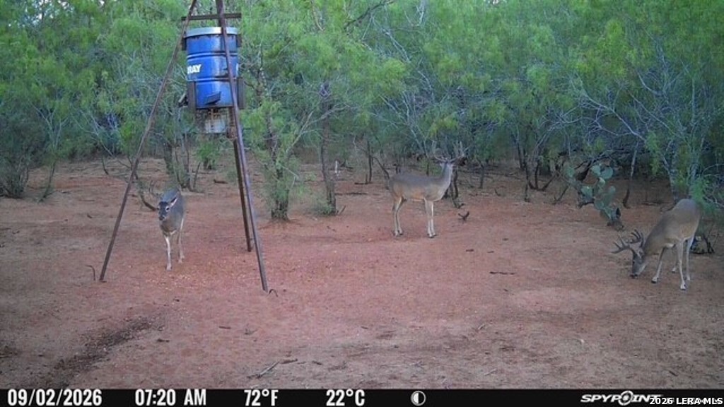 A00930 Cr 331 Jourdanton TX 78026
