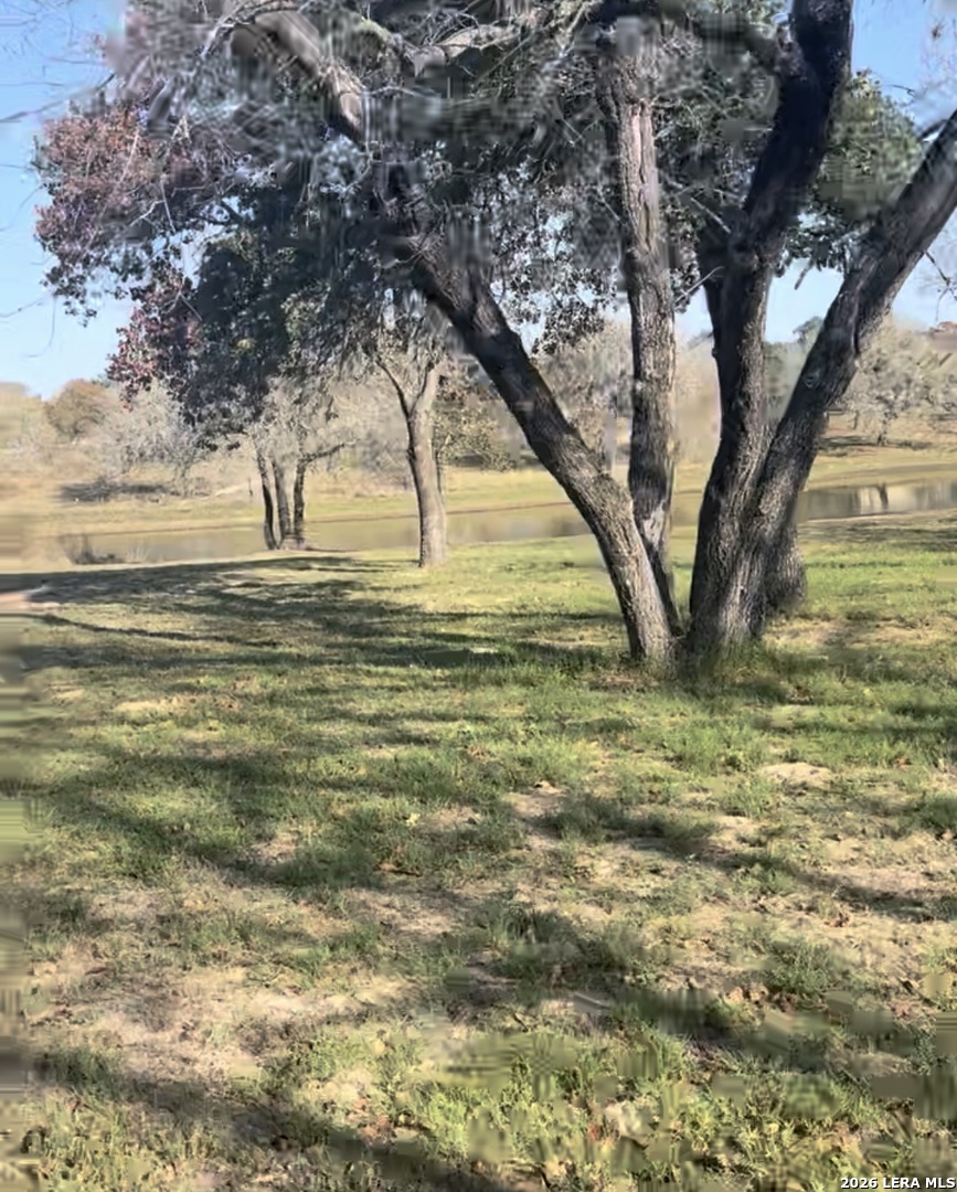 1075 Clear Lake Loop Poteet TX 78065