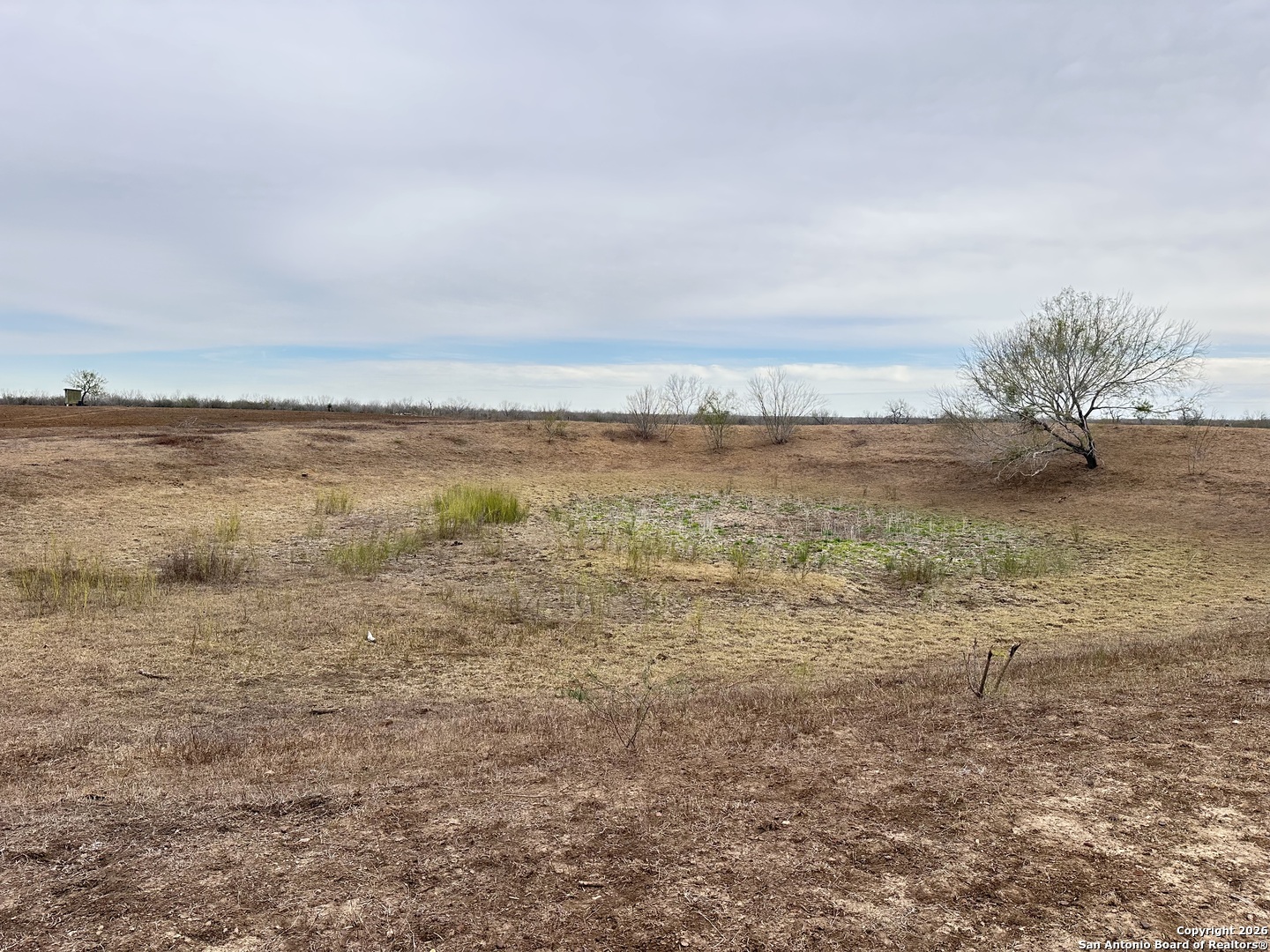 001 County Road 354 Charlotte TX 78011