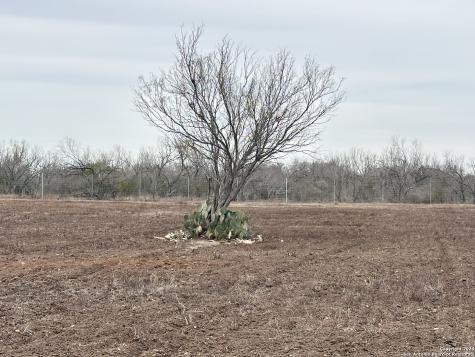 001 County Road 354 Charlotte TX 78011