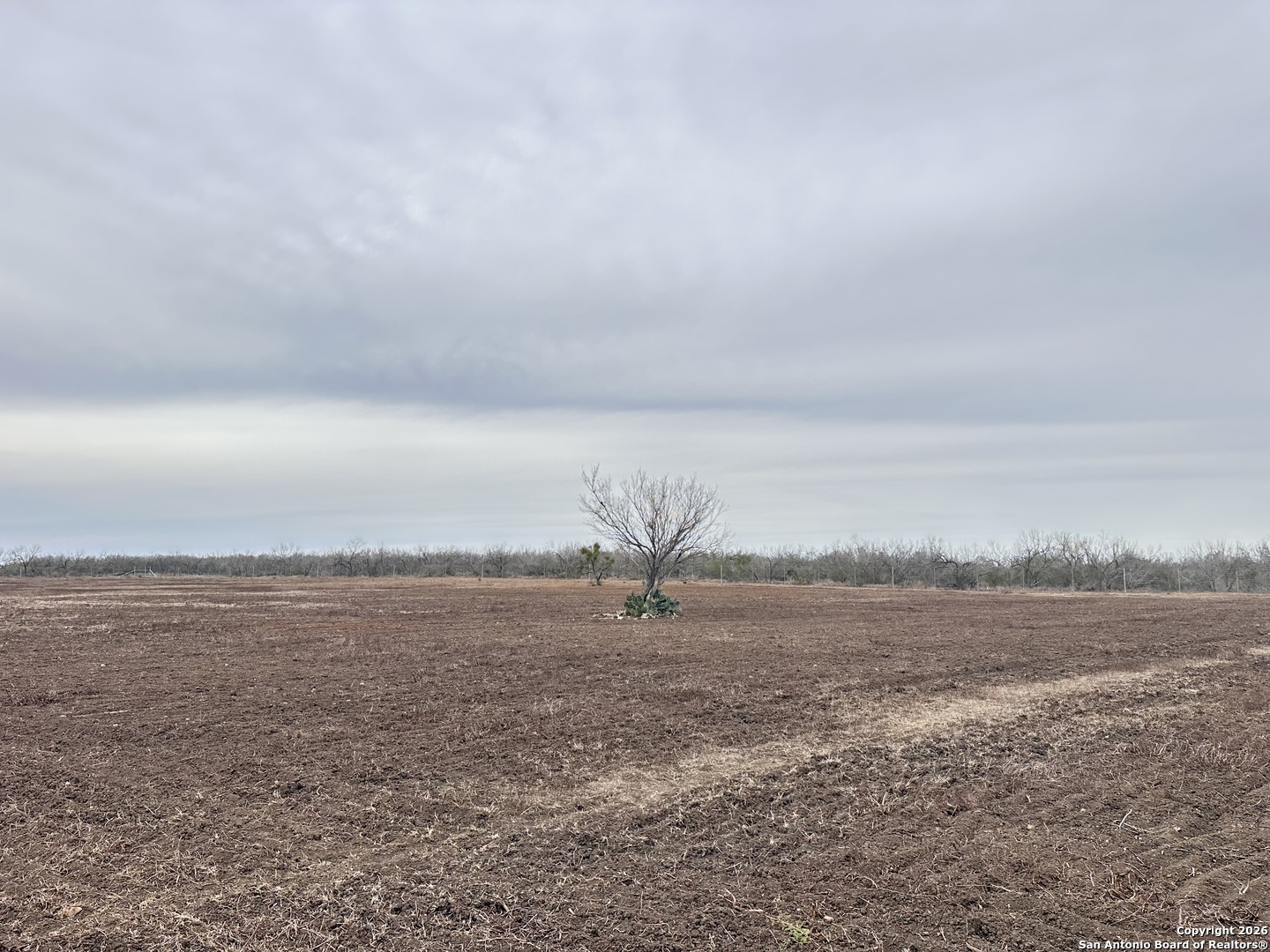 001 County Road 354 Charlotte TX 78011